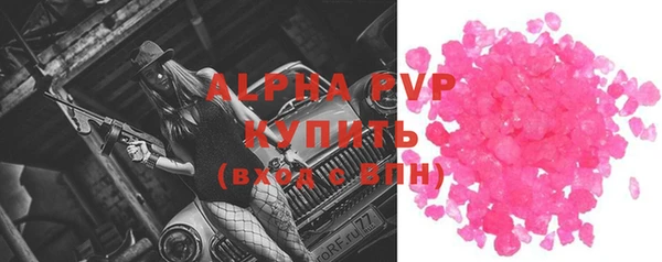 сатива Вяземский