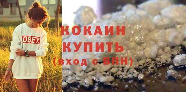 сатива Вяземский