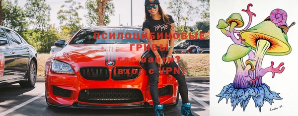сатива Вяземский